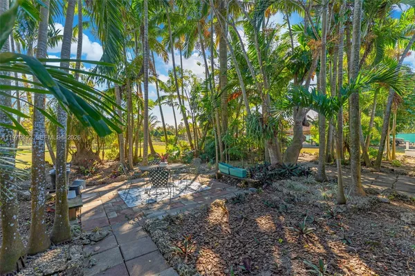 a view of a yard with plants and a trees