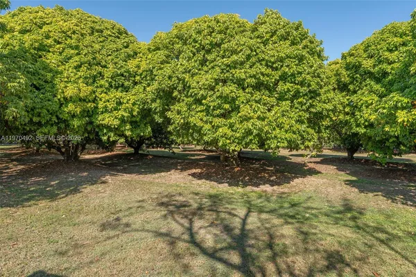 a view of a livingroom with furniture window and wooden floor