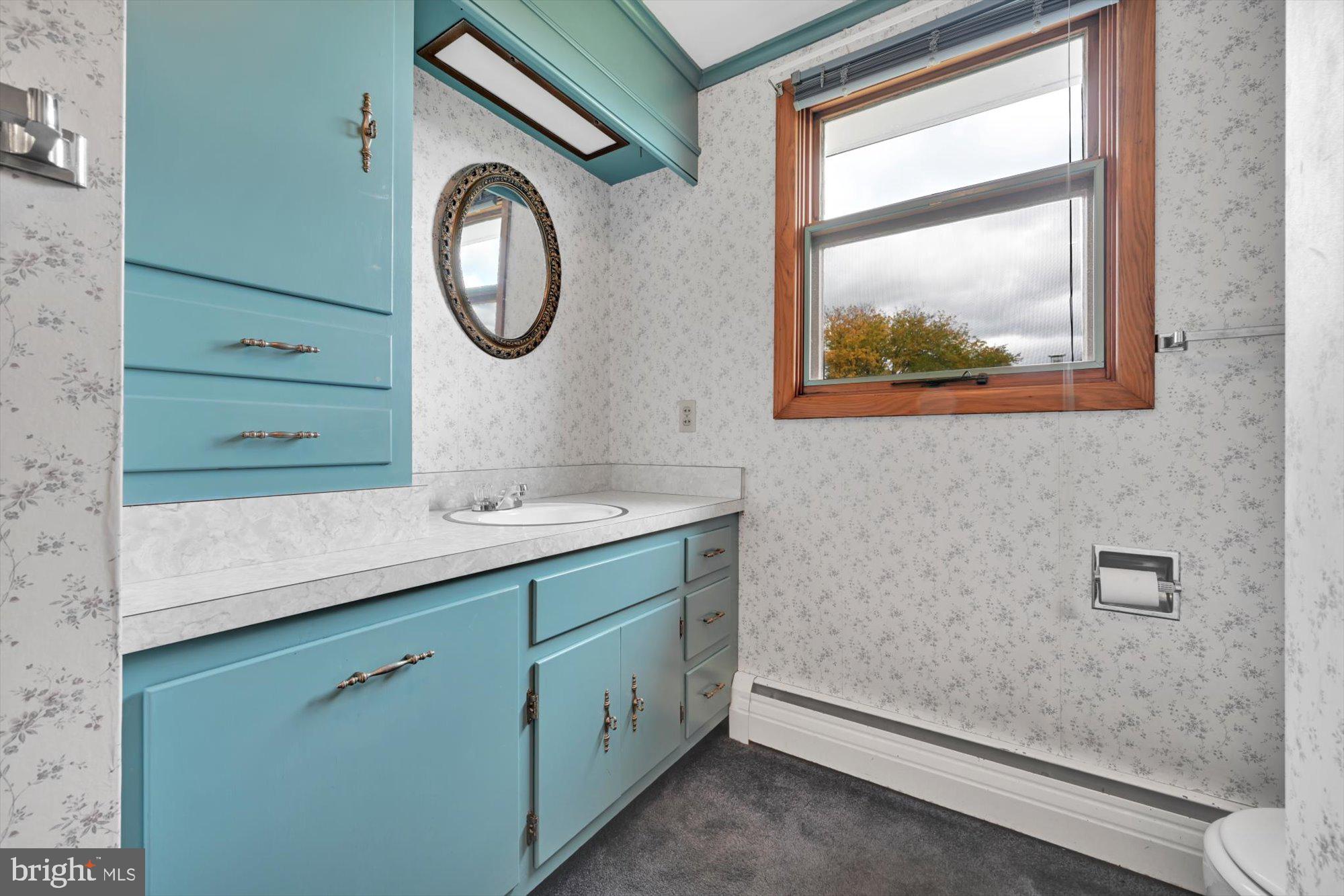 245 Colebrook Road Elizabethtown, PA 17022 - Photo 23 of 32 Full Bath