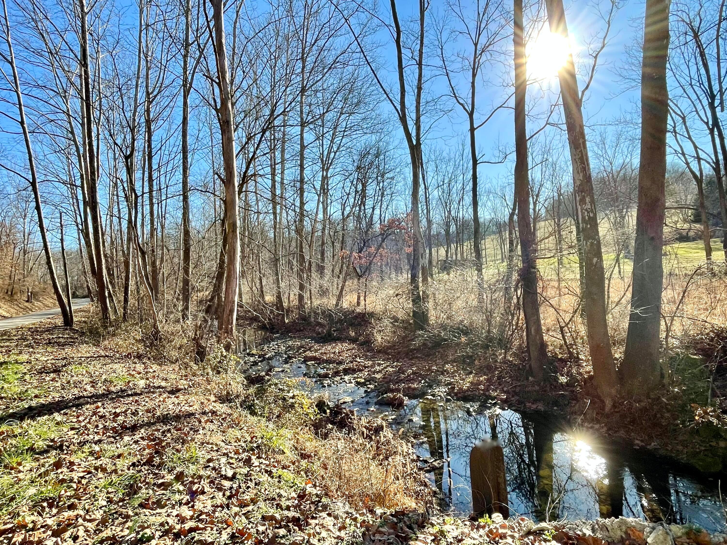 1368 Allen Road Beaver, OH 45613 - Photo 58 of 77 The Stream is the Little Scioto River!