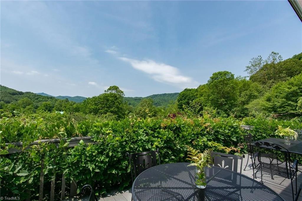 528 Red Tailed Hawk Road Banner Elk, NC 28604 - Photo 2 of 50 Gallery Image 2