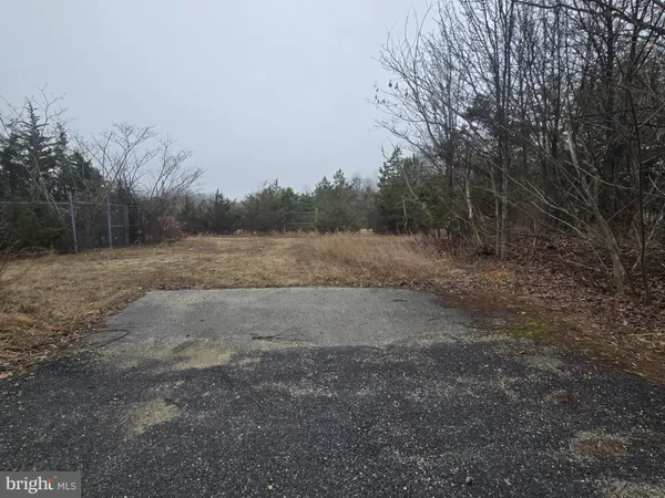 a view of dirt field with trees
