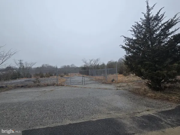 a view of dirt yard with large trees