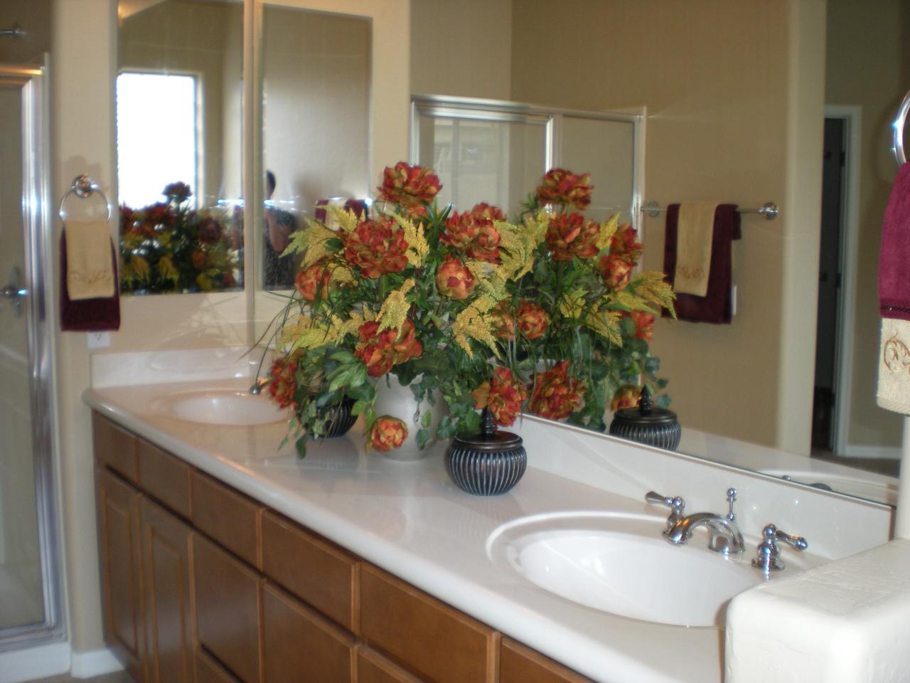 2634 West Florimond Road Phoenix, AZ 85086 - Photo 16 of 17 master bathroom with lots of counter spa