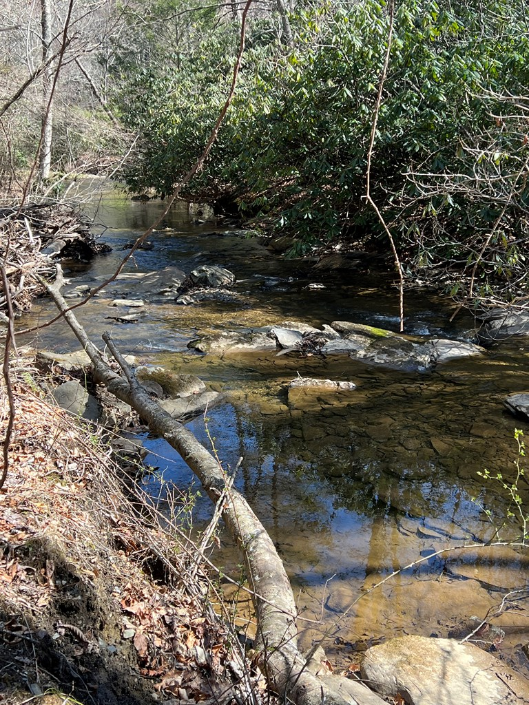 Tbd Tbd Pine Grove Road Austinville, VA 24312 - Photo 24 of 26 Gallery Image 24
