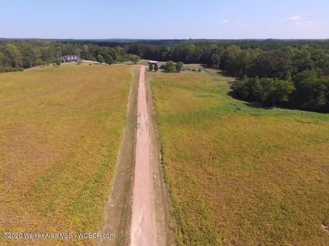 Lot 5 Arkadelphia Road Jasper, AL 35504 - Photo 7 of 8 Gallery Image 7