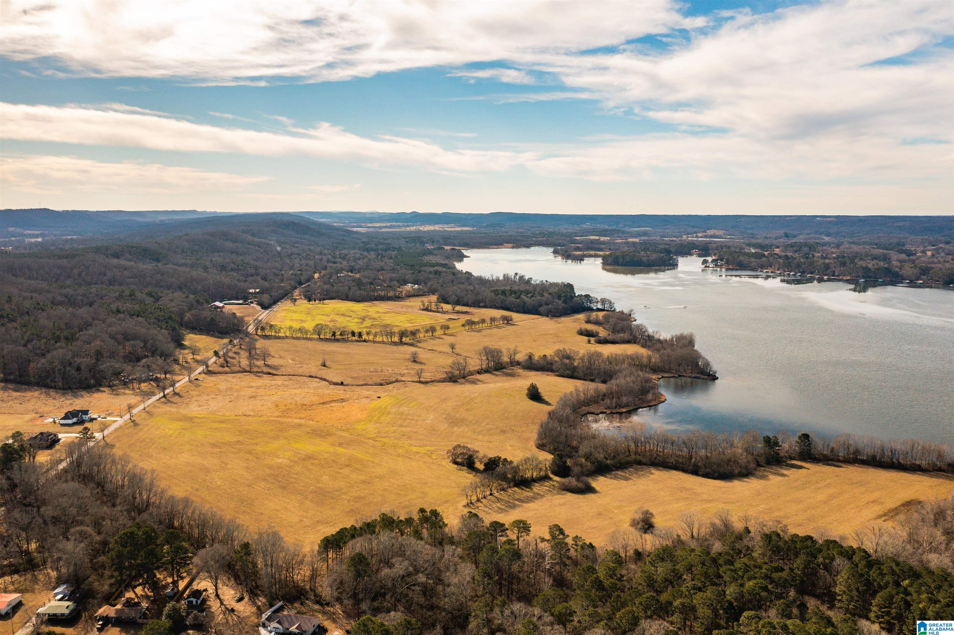 0 Browns Valley Road Guntersville, AL 35976 - Photo 6 of 39
