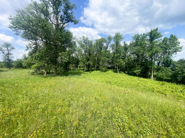 $250,000 | Tbd Tbd Great Divide Road Northwest, Puposky, MN 56667
