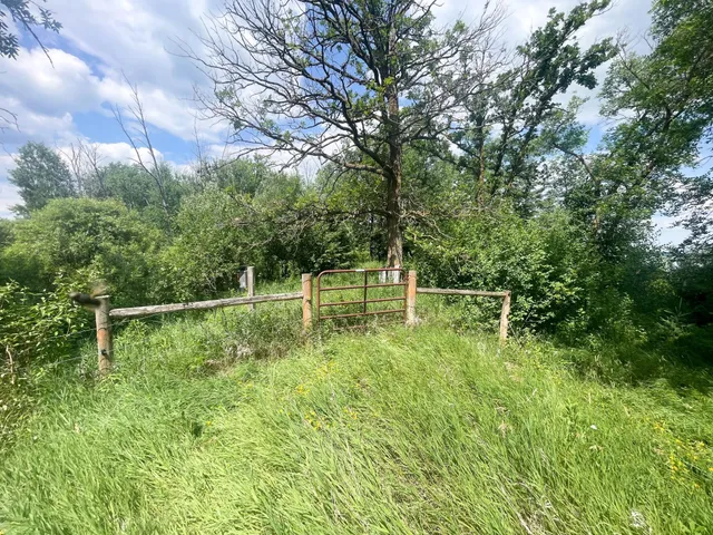 $250,000 | Tbd Tbd Great Divide Road Northwest, Puposky, MN 56667