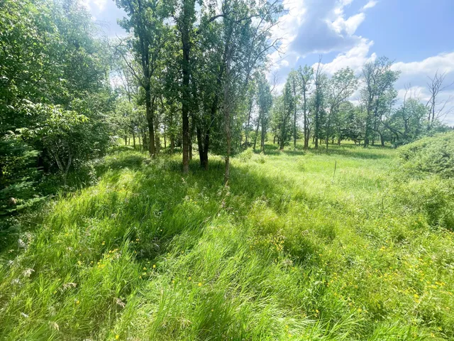 $250,000 | Tbd Tbd Great Divide Road Northwest, Puposky, MN 56667