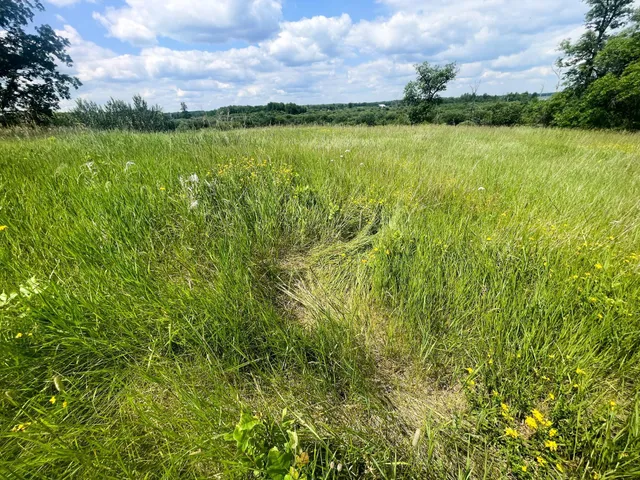 $250,000 | Tbd Tbd Great Divide Road Northwest, Puposky, MN 56667