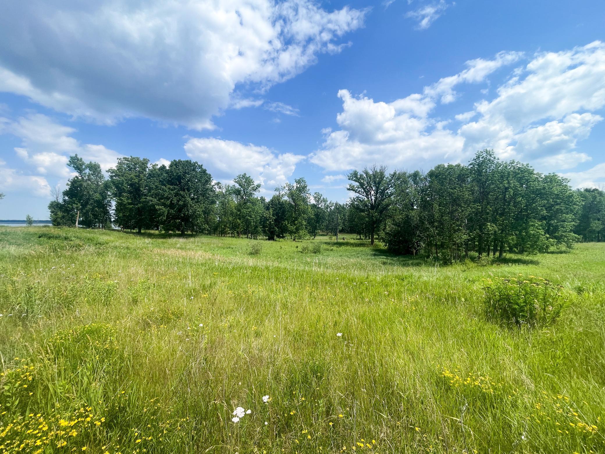 Tbd Tbd Great Divide Road Northwest Puposky, MN 56667 - Photo 2 of 49