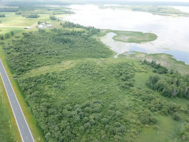 $250,000 | Tbd Tbd Great Divide Road Northwest, Puposky, MN 56667