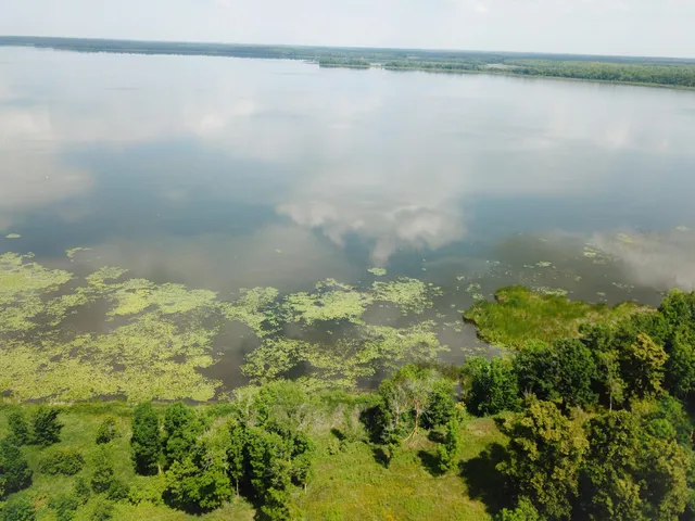 $250,000 | Tbd Tbd Great Divide Road Northwest, Puposky, MN 56667