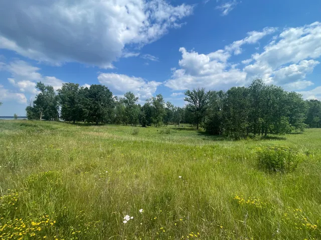 $250,000 | Tbd Tbd Great Divide Road Northwest, Puposky, MN 56667
