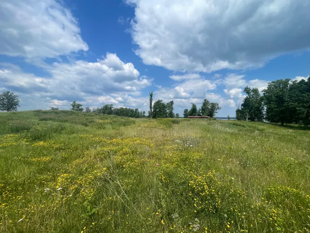$250,000 | Tbd Tbd Great Divide Road Northwest, Puposky, MN 56667