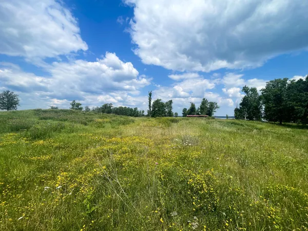 $250,000 | Tbd Tbd Great Divide Road Northwest, Puposky, MN 56667