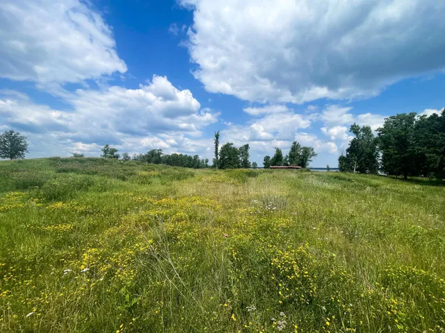 $250,000 | Tbd Tbd Great Divide Road Northwest, Puposky, MN 56667