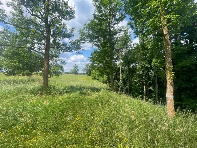 $250,000 | Tbd Tbd Great Divide Road Northwest, Puposky, MN 56667