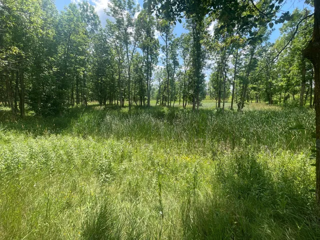$250,000 | Tbd Tbd Great Divide Road Northwest, Puposky, MN 56667