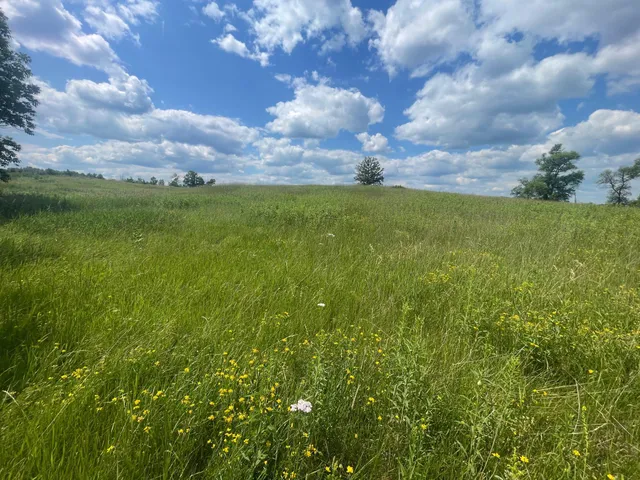 $250,000 | Tbd Tbd Great Divide Road Northwest, Puposky, MN 56667