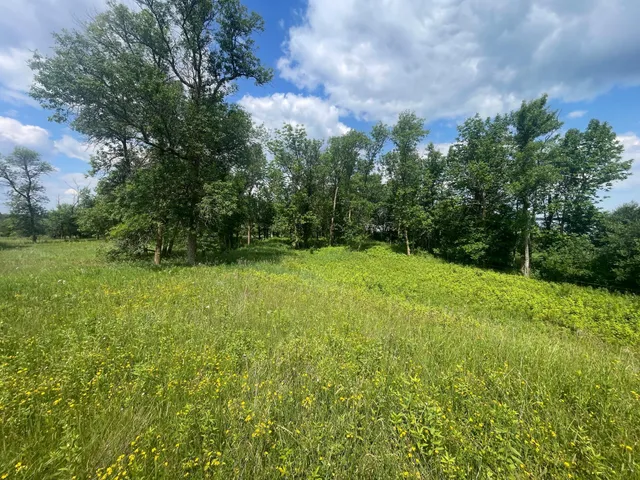 $250,000 | Tbd Tbd Great Divide Road Northwest, Puposky, MN 56667