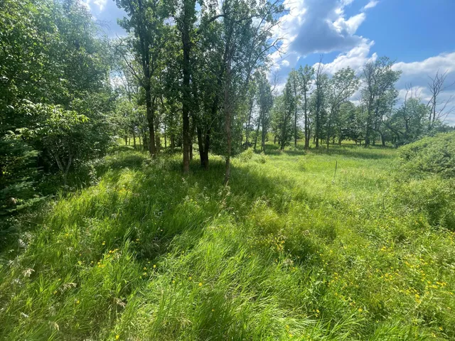 $250,000 | Tbd Tbd Great Divide Road Northwest, Puposky, MN 56667