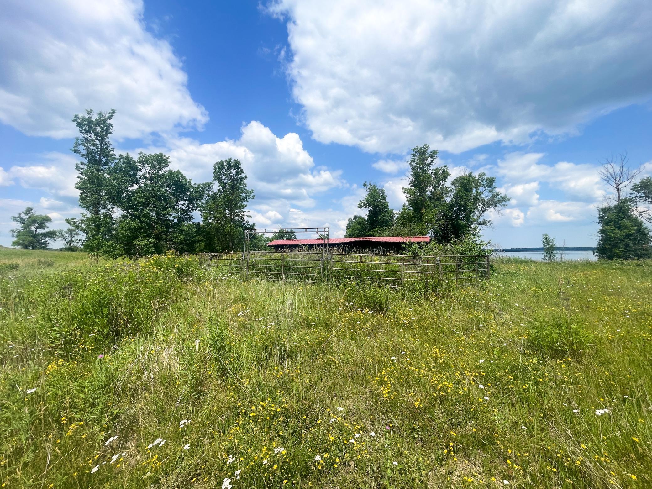 Tbd Tbd Great Divide Road Northwest Puposky, MN 56667 - Photo 4 of 49