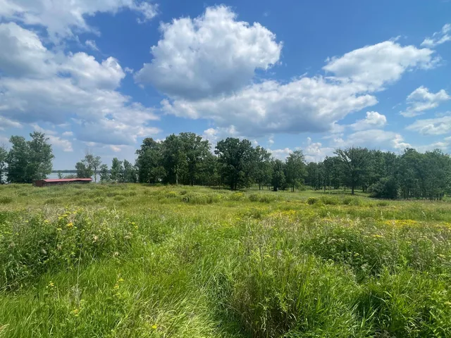 $250,000 | Tbd Tbd Great Divide Road Northwest, Puposky, MN 56667