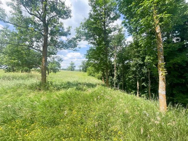 $250,000 | Tbd Tbd Great Divide Road Northwest, Puposky, MN 56667