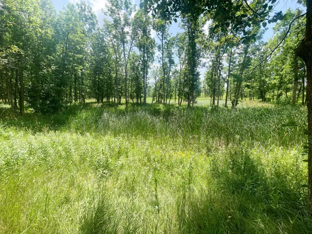 $250,000 | Tbd Tbd Great Divide Road Northwest, Puposky, MN 56667