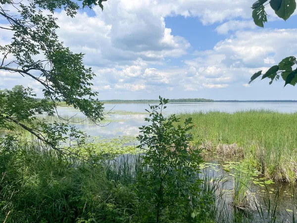 $250,000 | Tbd Tbd Great Divide Road Northwest, Puposky, MN 56667