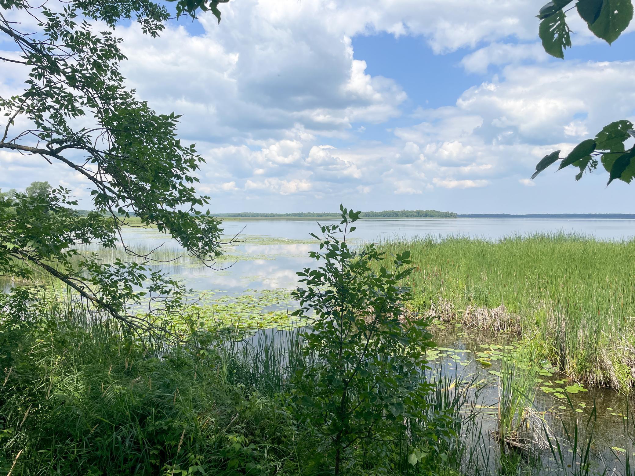 Tbd Tbd Great Divide Road Northwest Puposky, MN 56667 - Photo 8 of 49