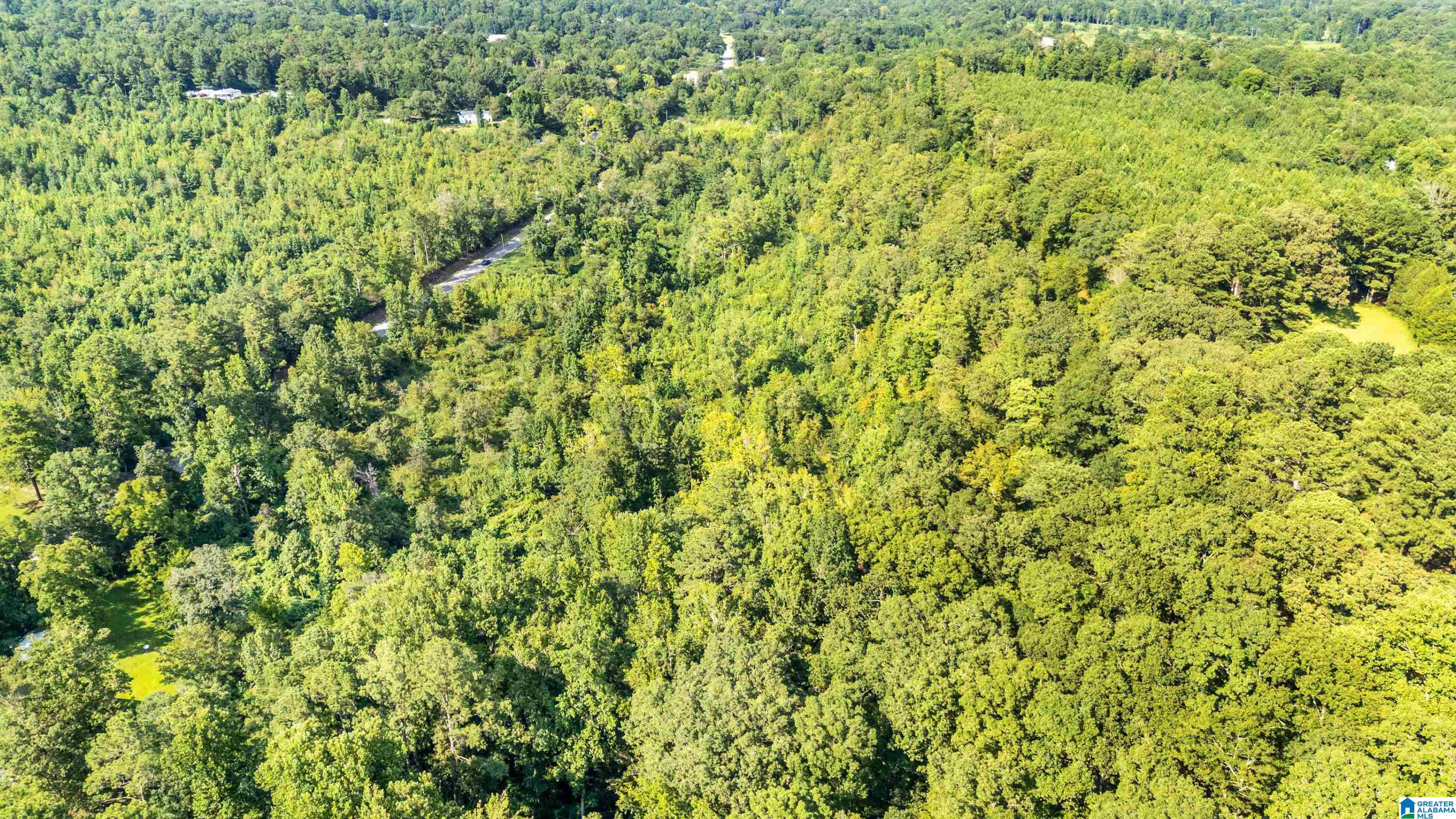 0 Warrior Jasper Road, Unit 23 AC Dora, AL 35062 - Photo 4 of 18