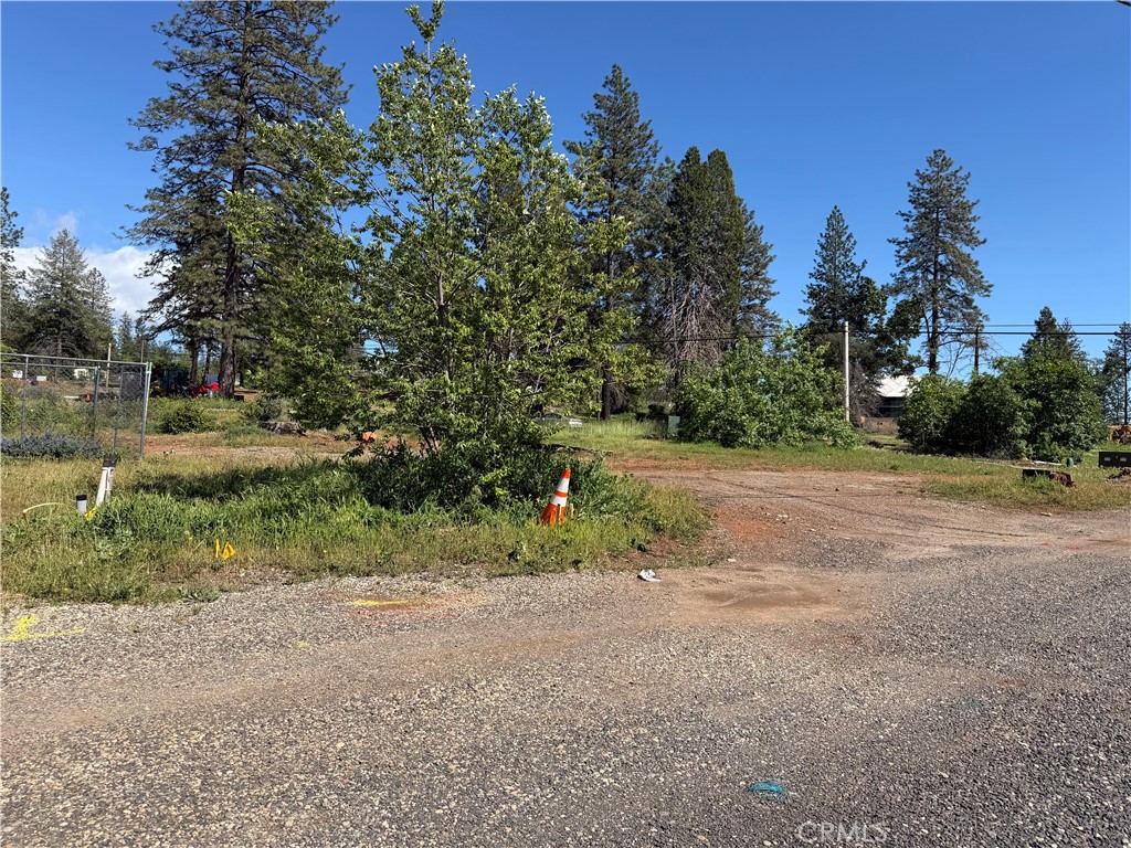 a view of a yard with a tree