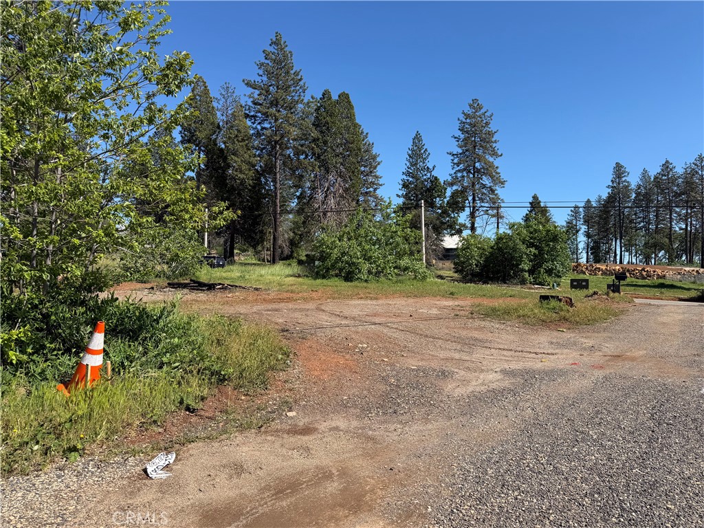 8736 Nugget Lane Paradise, CA 95969 - Photo 2 of 4 a view of road with large trees