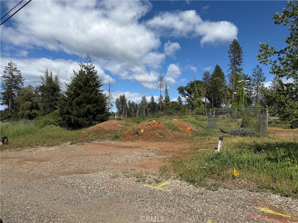 8736 Nugget Lane Paradise, CA 95969 - Photo 4 of 4 a view of a yard with a tree