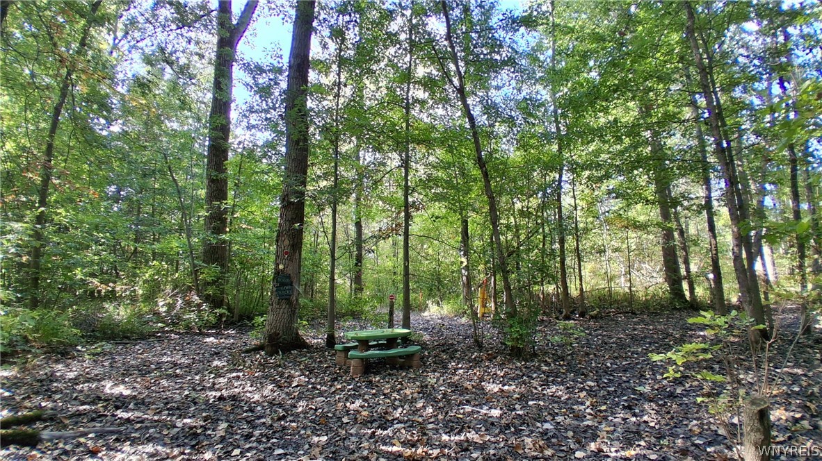 8420 Northfield Road Clarence, NY 14032 - Photo 22 of 31