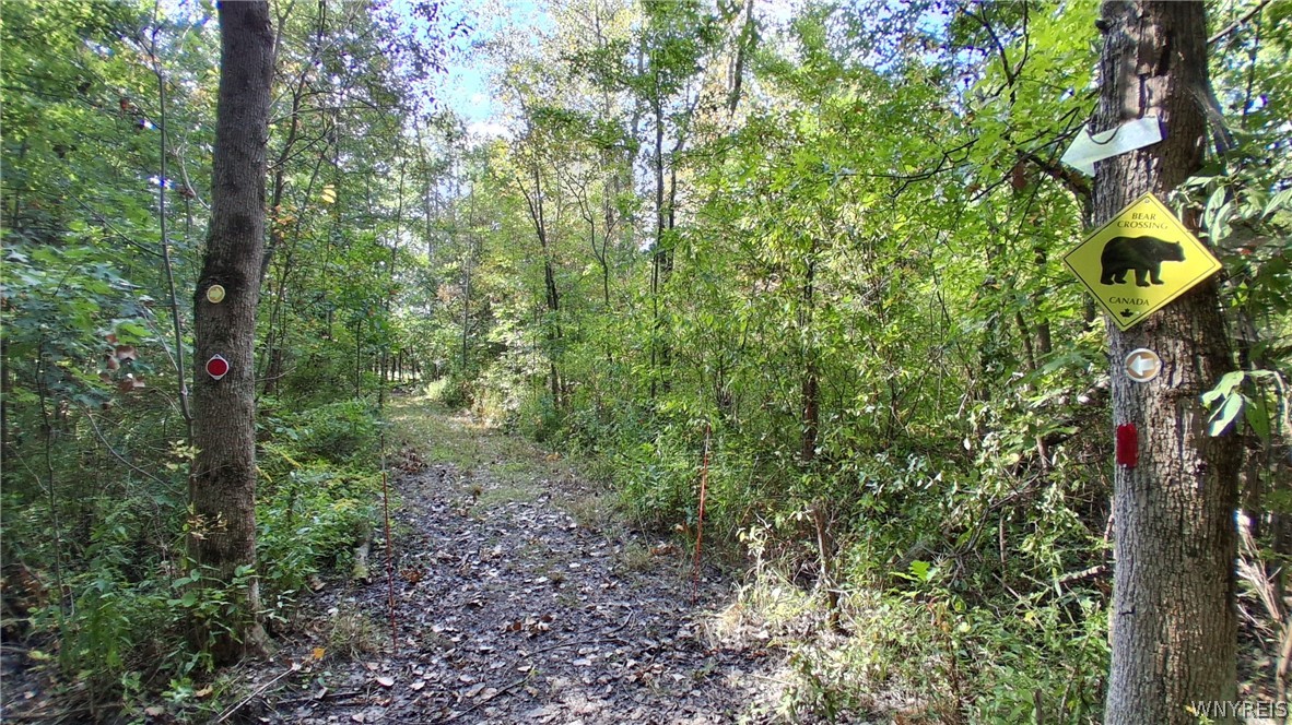 8420 Northfield Road Clarence, NY 14032 - Photo 23 of 31