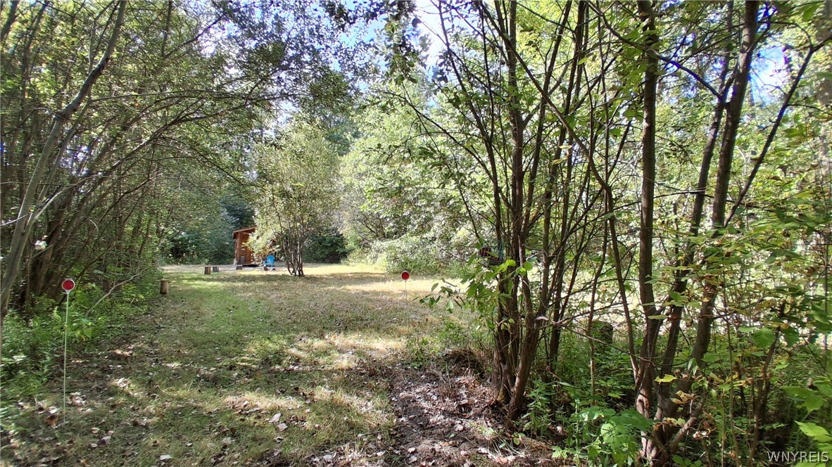 8420 Northfield Road Clarence, NY 14032 - Photo 24 of 31