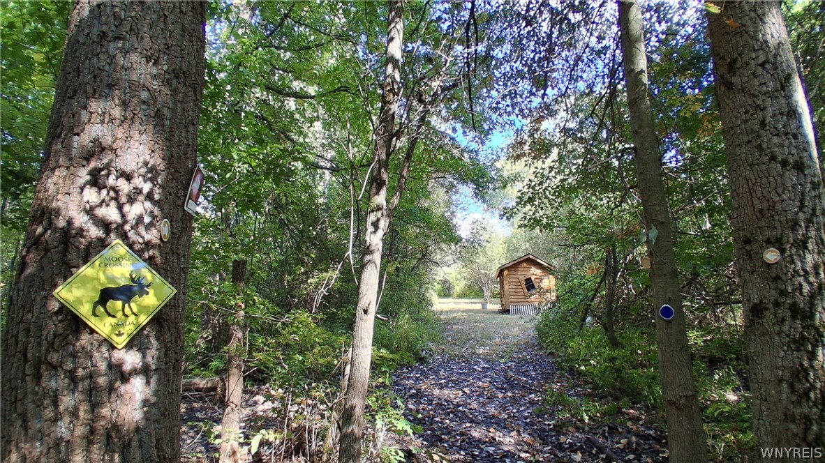 8420 Northfield Road Clarence, NY 14032 - Photo 27 of 31