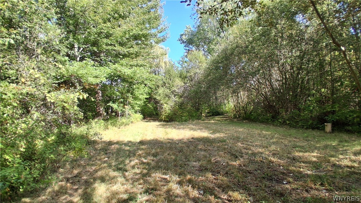 8420 Northfield Road Clarence, NY 14032 - Photo 28 of 31