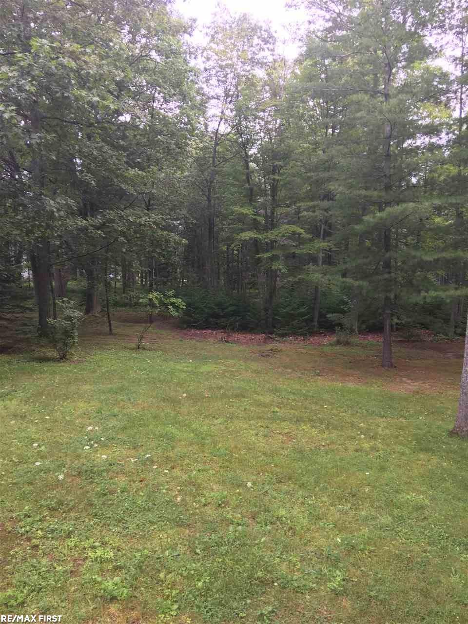 3916 South Poor Farm Road Greenbush, MI 48738 - Photo 22 of 35 Gallery Image 22
