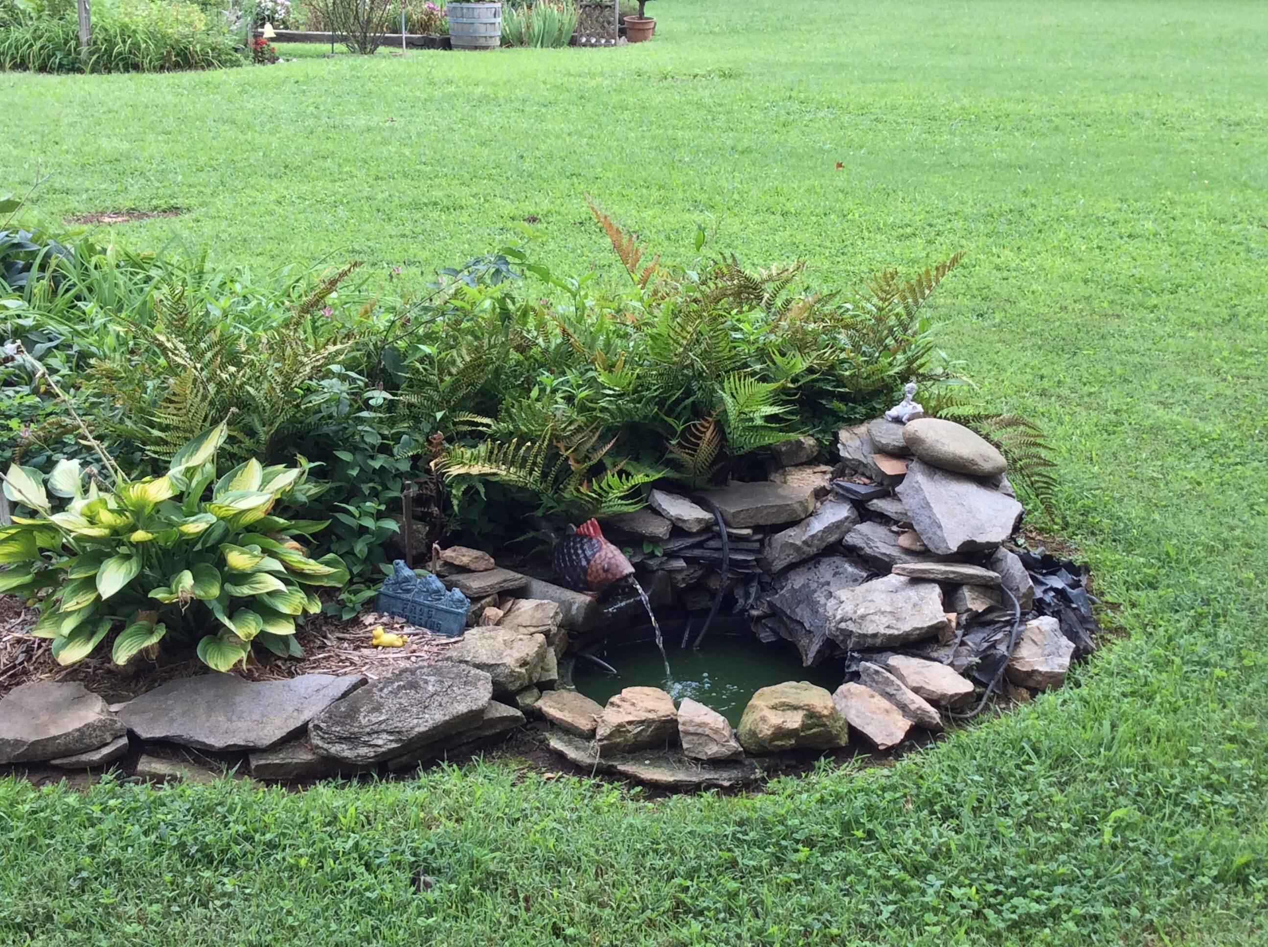 1244 McConnell Road Greenback, TN 37742 - Photo 16 of 37 Small pond