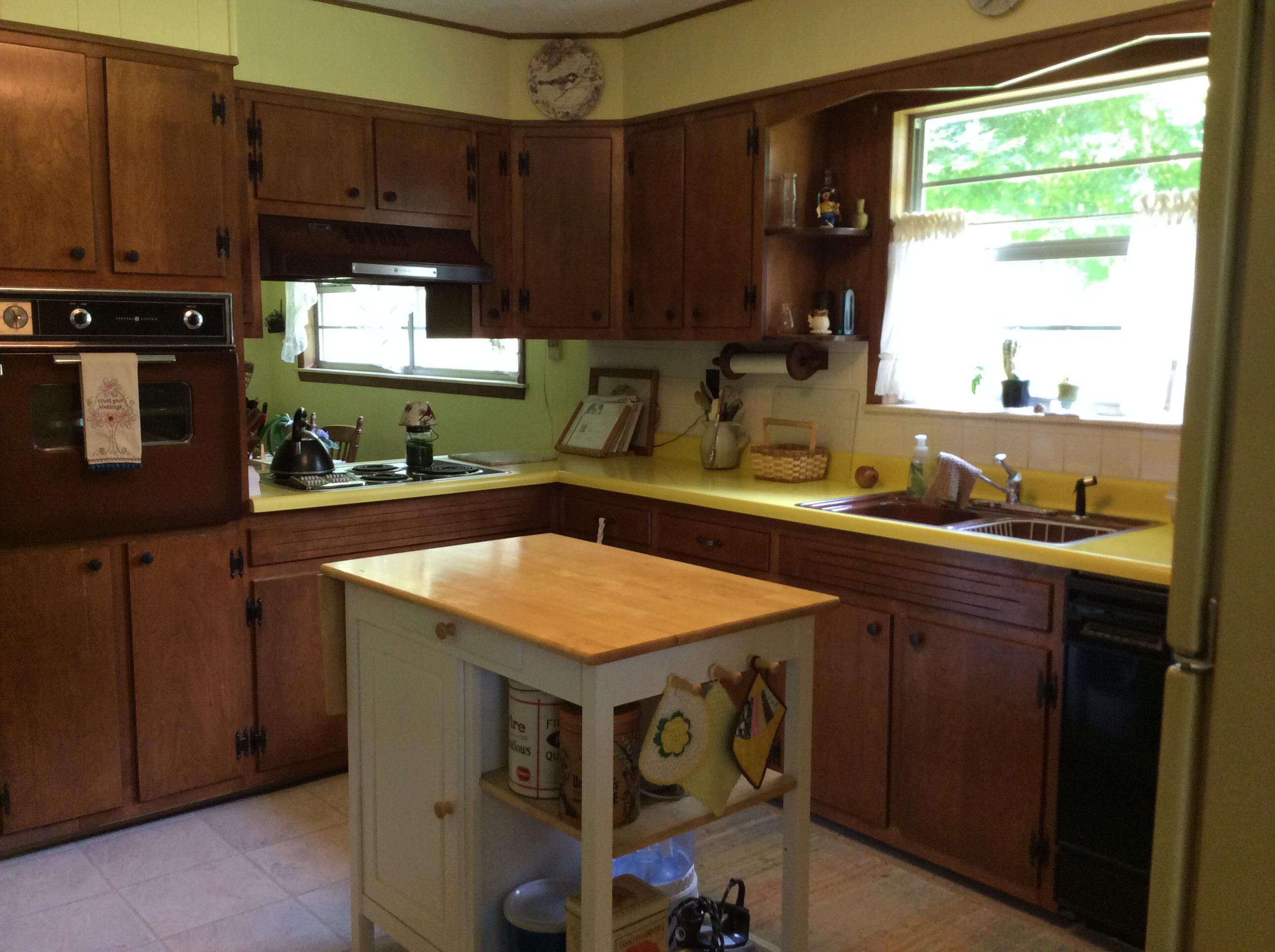 1244 McConnell Road Greenback, TN 37742 - Photo 17 of 37 Bright kitchen