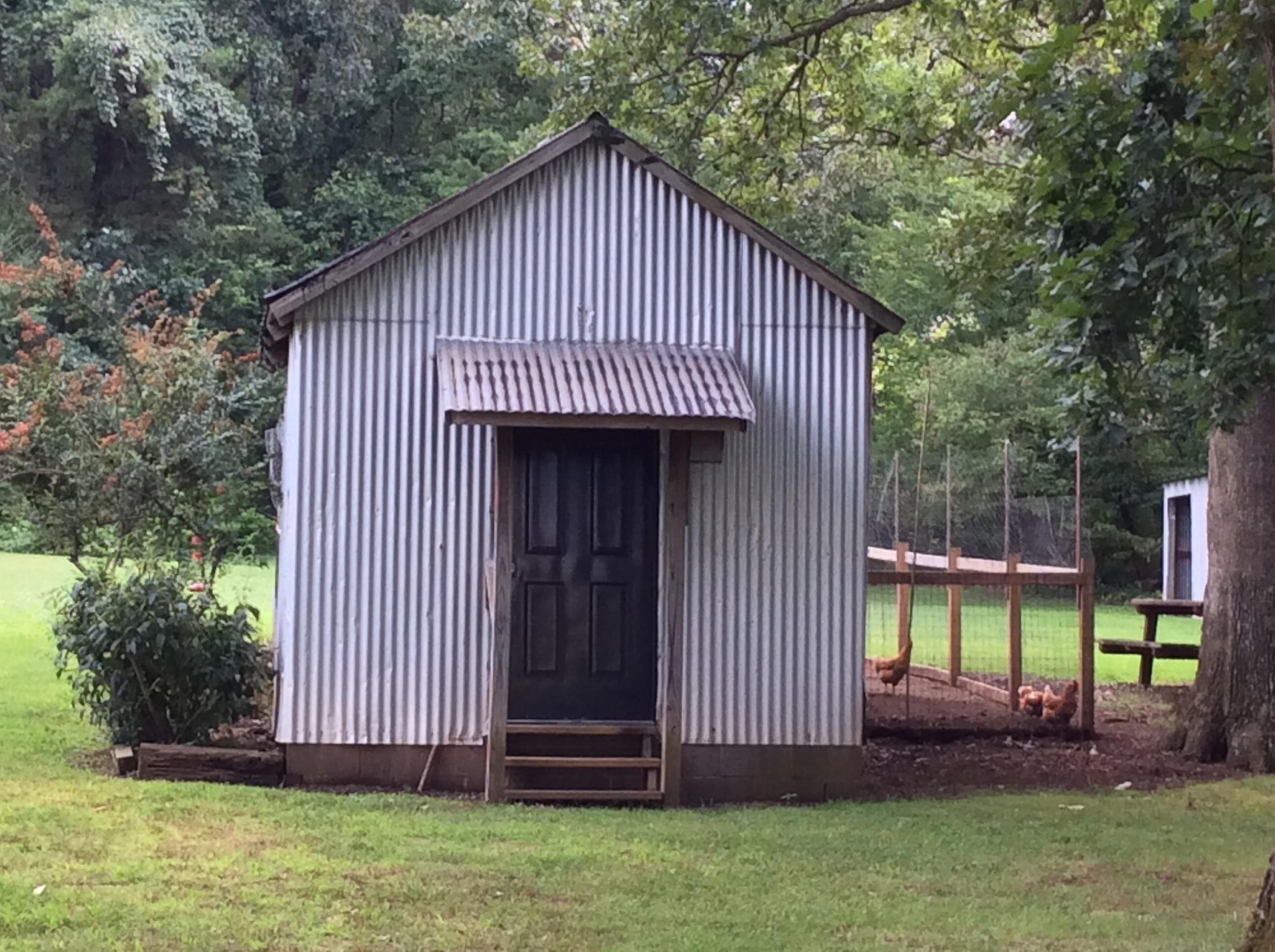 1244 McConnell Road Greenback, TN 37742 - Photo 6 of 37 Shed with electricity
