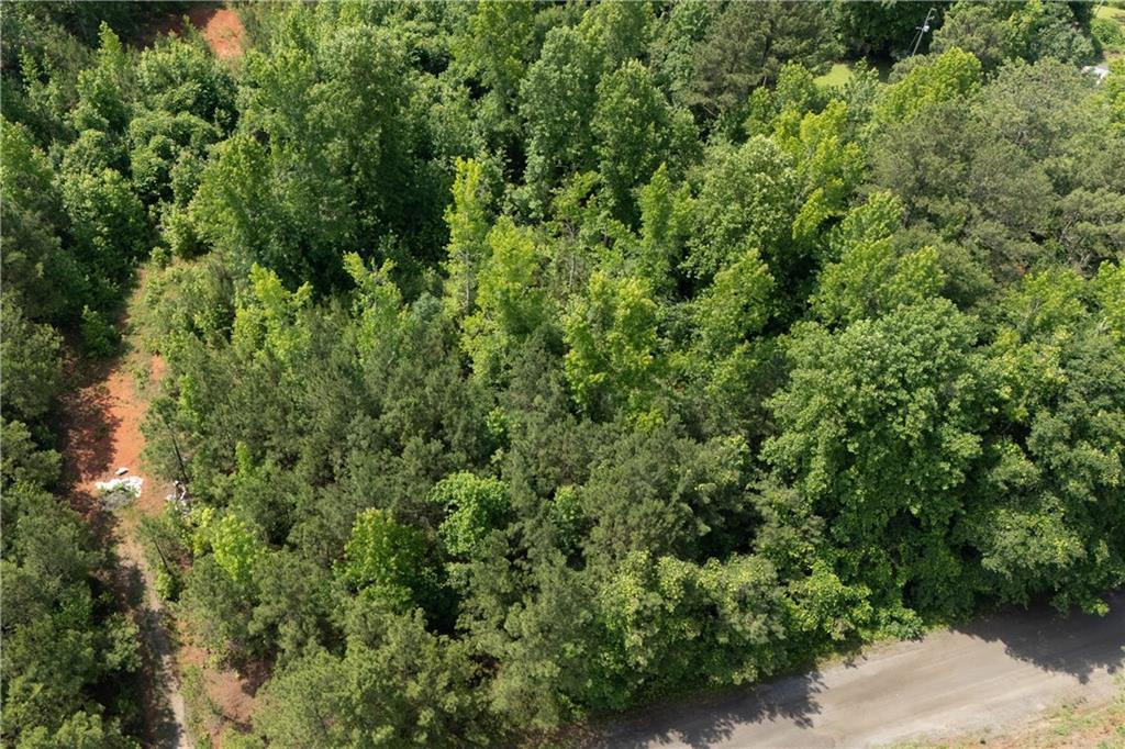 0 Ono Road Palmetto, GA 30268 - Photo 8 of 23