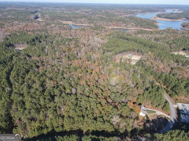 an aerial view of forest