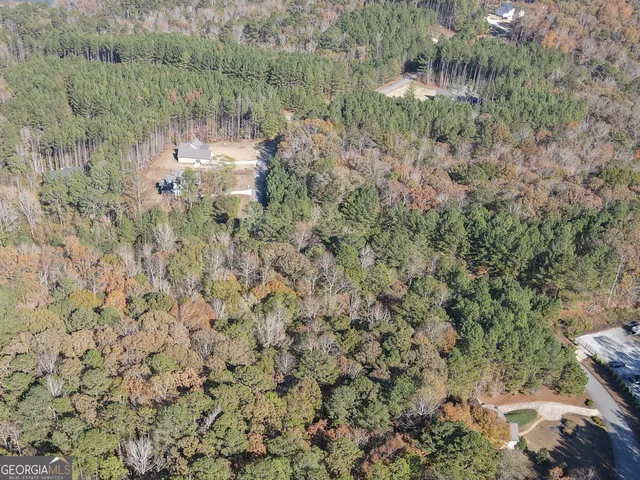 a view of a lake with a forest
