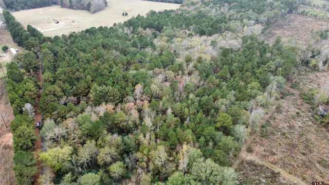 an aerial view of a residential houses with outdoor space and trees